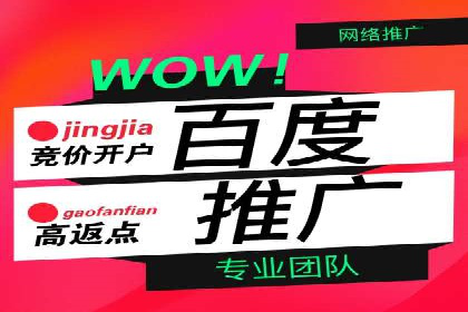 百度竞价公司成功案例：如何实现ROI最大化